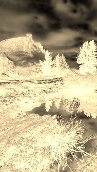 Sepia + Negatyw