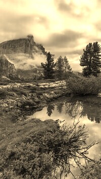 Sepia