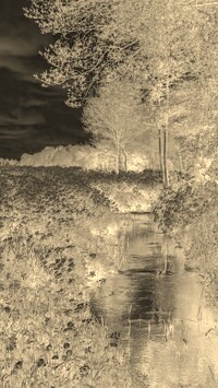 Sepia + Negatyw