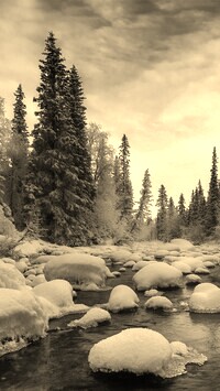 Sepia