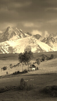 Sepia