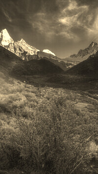 Sepia