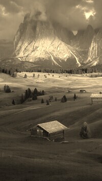 Szary + Sepia