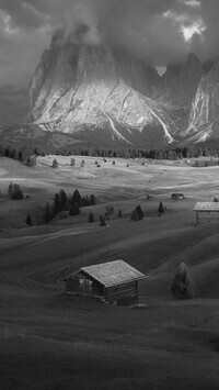 Szary