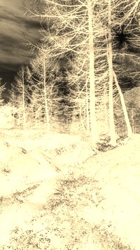 Sepia + Negatyw