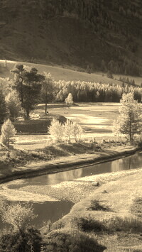 Sepia