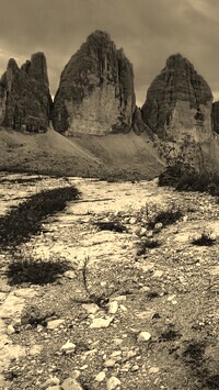 Szary + Sepia