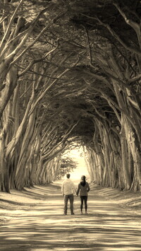 Szary + Sepia