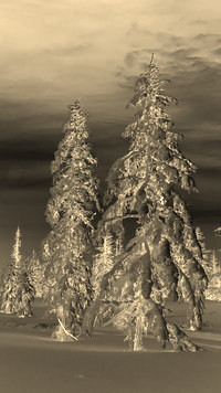 Sepia + Negatyw