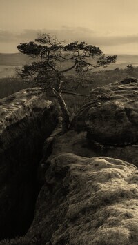 Szary + Sepia