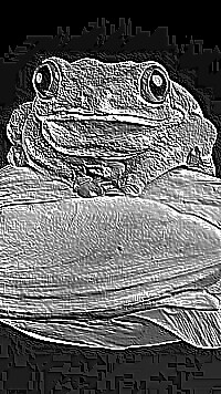 Skamielina