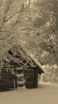 Szary + Sepia
