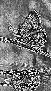 Skamielina