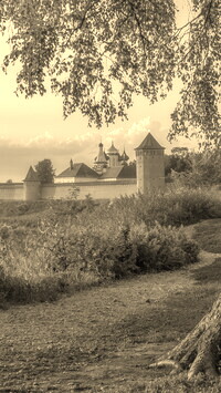 Szary + Sepia