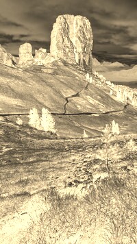 Sepia + Negatyw