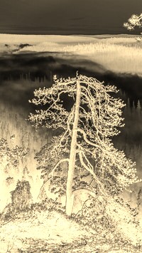 Sepia + Negatyw