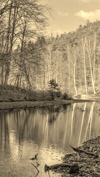 Sepia