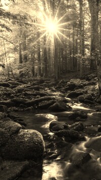 Szary + Sepia
