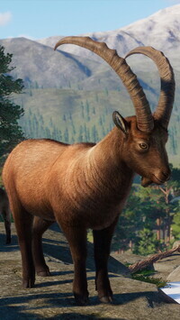 Oryginalny obrazek
