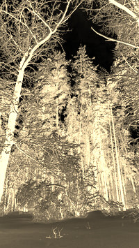 Sepia + Negatyw