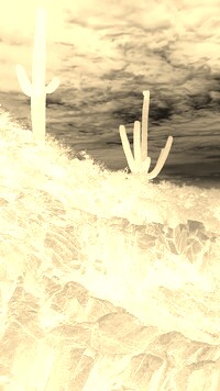 Sepia + Negatyw