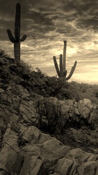 Sepia