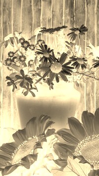 Sepia + Negatyw