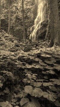 Sepia