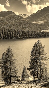 Sepia
