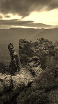 Szary + Sepia