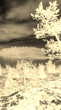 Sepia + Negatyw