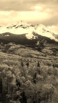 Szary + Sepia