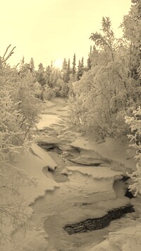 Szary + Sepia