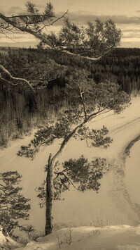 Szary + Sepia