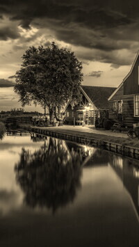 Szary + Sepia