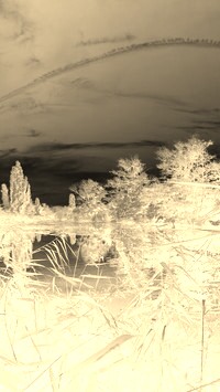 Sepia + Negatyw