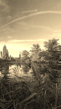 Sepia