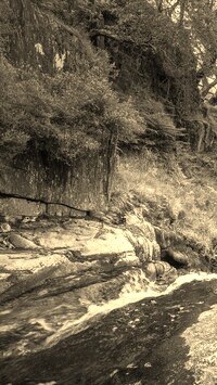 Sepia