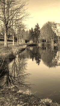 Szary + Sepia