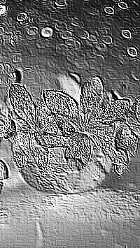 Skamielina