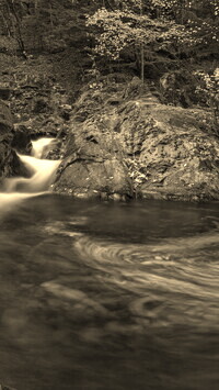 Sepia