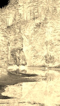 Sepia + Negatyw