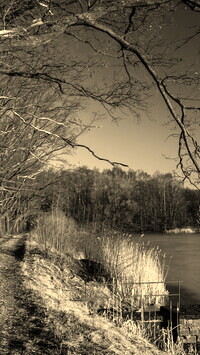 Szary + Sepia