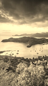 Sepia
