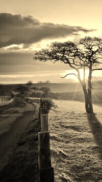 Sepia