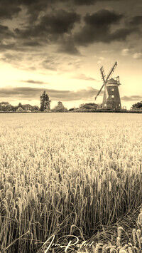 Szary + Sepia