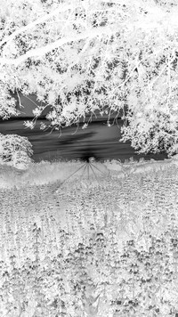 Szary + Negatyw