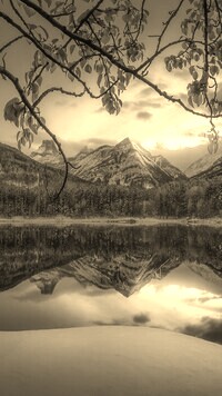 Szary + Sepia