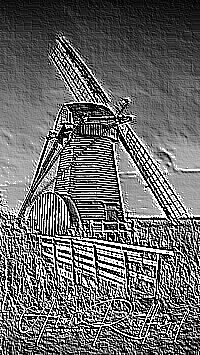 Skamielina