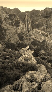 Szary + Sepia